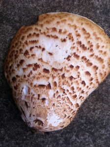 tasty mushrooms